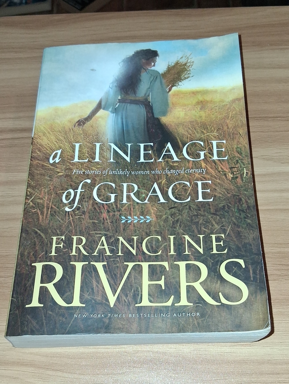 'A Lineage of Grace' Paperback Book - Brown/Blue Cover